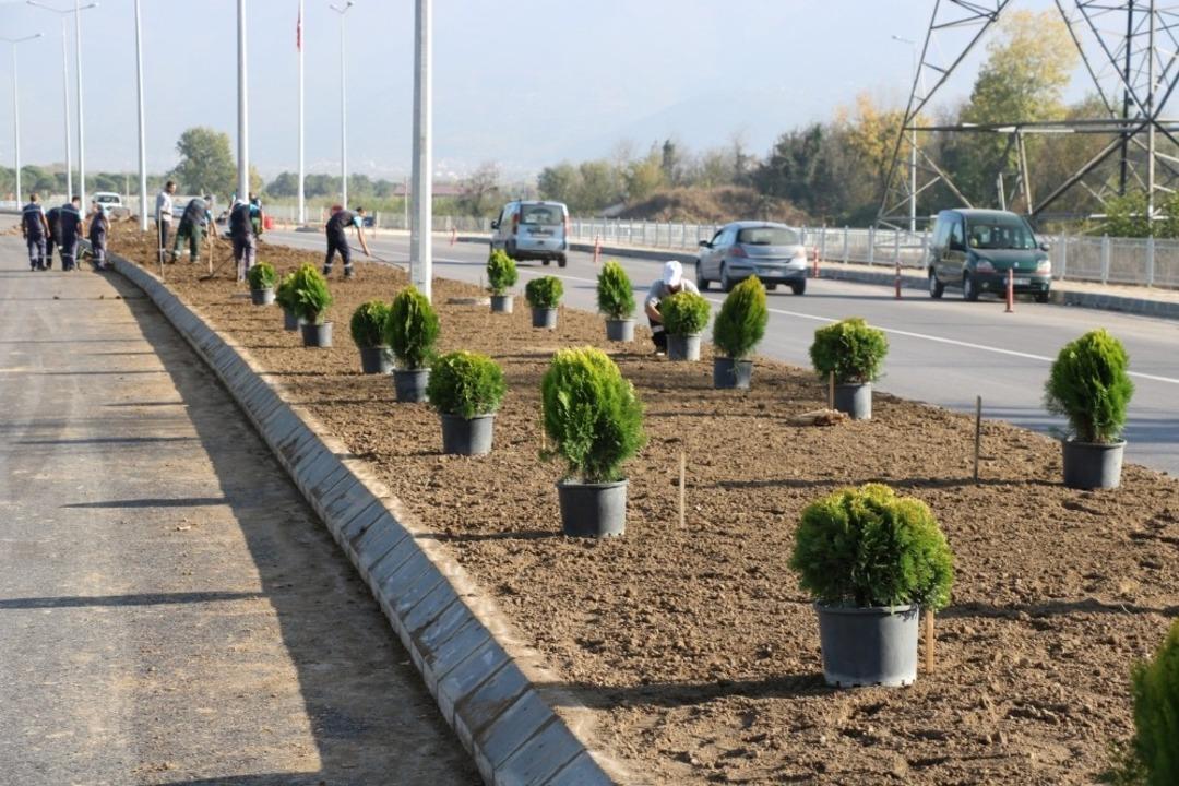 Salim Dervişoğlu Caddesi yeşillendirildi