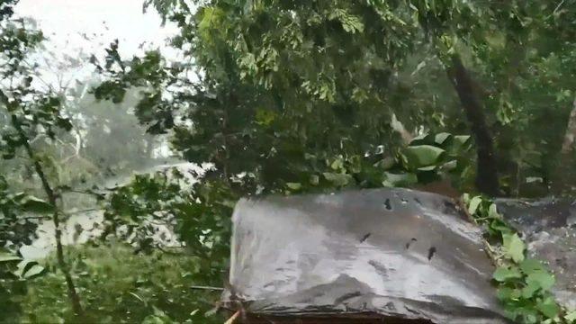 Bulbul Kasırgası, Bangladeş’i vurdu: 2 ölü, 5 yaralı