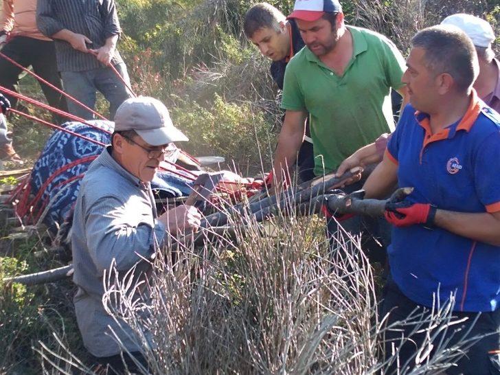 Uçurumda mahsur kalan inek için AFAD seferber oldu G1