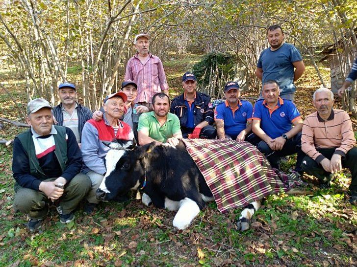 Uçurumda mahsur kalan inek için AFAD seferber oldu G3