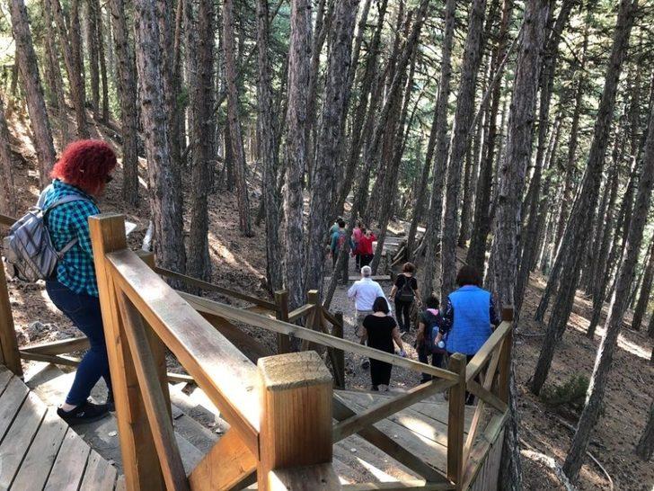 Doğaseverler sonbahar yürüyüşünü Kızılcahamam’da yaptı G2