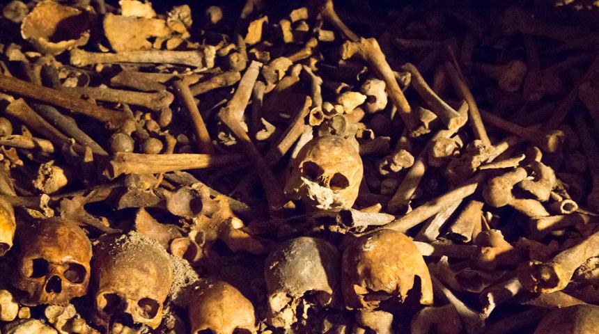 Meksika'da çöldeki bir çukurda 10 ceset bulundu