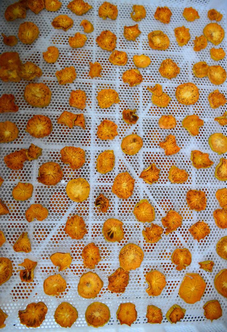 KOSGEB desteğiyle kendi işinin patronu oldu G2