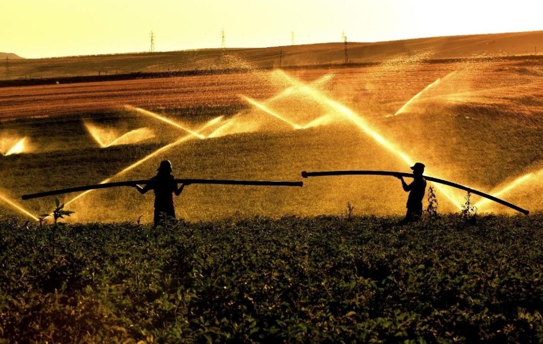 Aydın: &ldquo;Bitlis&rsquo;te 7 bin 500 dekar tarım arazisi sulandı&rdquo;