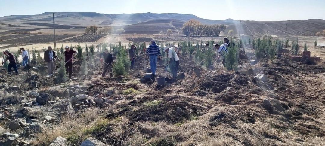 Sorgun&rsquo;da bin 800 fidan toprakla buluştu