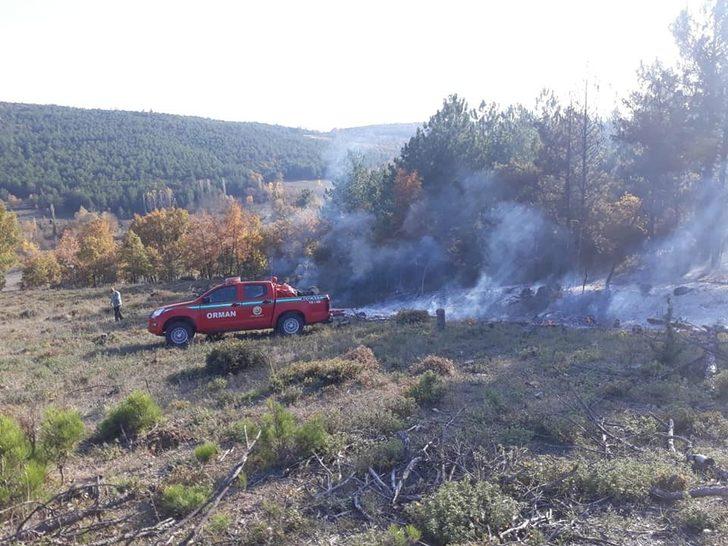 Ormanlık alanda yangın G1