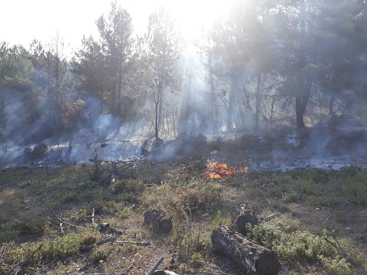 Ormanlık alanda yangın G2