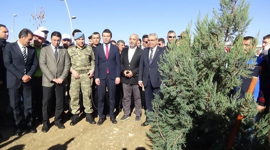 Muş&rsquo;ta 80 bin fidan toprakla buluştu
