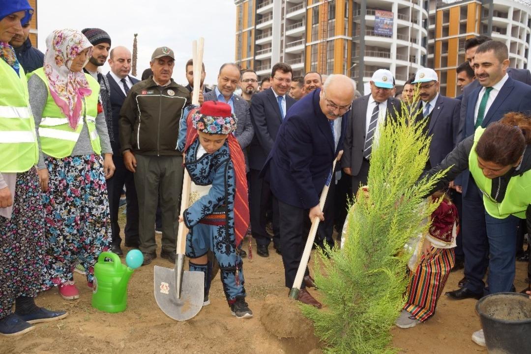 Aydın&rsquo;da 100 bin fidan toprakla buluştu