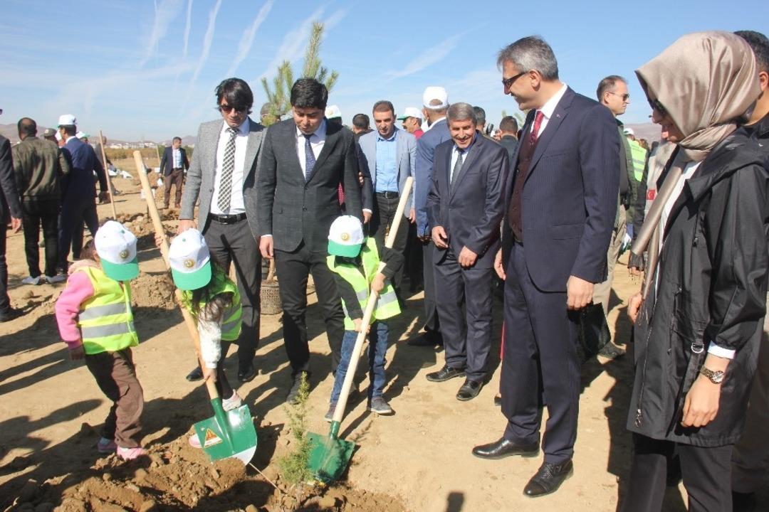 Bing&ouml;l&rsquo;de 65 bin fidan toprakla buluştu