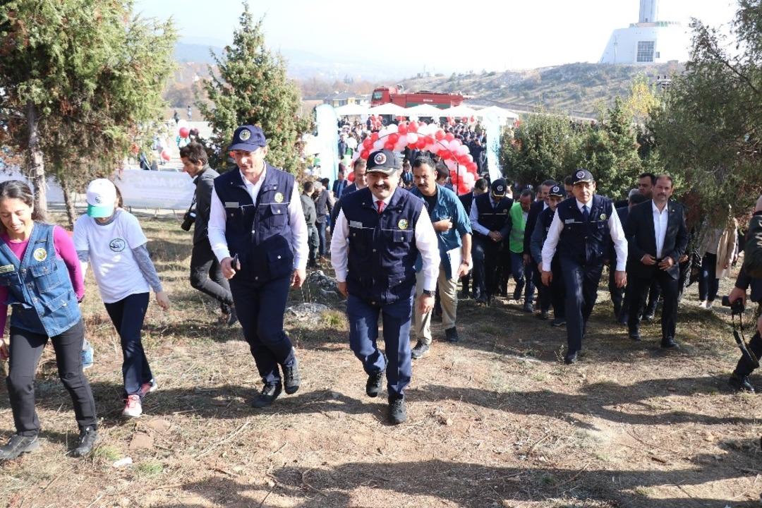 Bolu&rsquo;da 108 bin 225 fidan dikildi