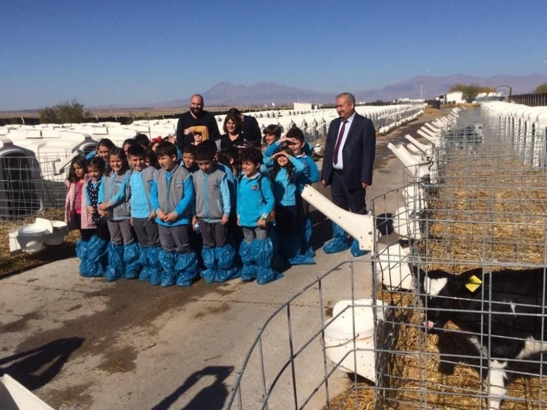 Minik &ouml;ğrenciler besi &ccedil;iftliğinde ders işledi