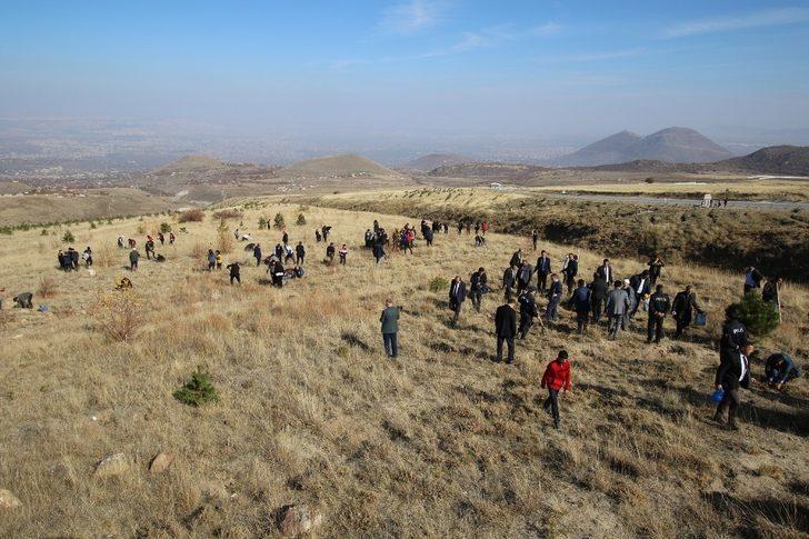 Hacılar’da yarının nefesi için 2 bin fidan dikildi G1