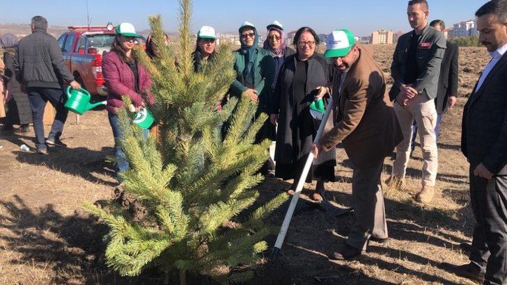 Kars’ta 29 bin fidan toprakla buluştu G1