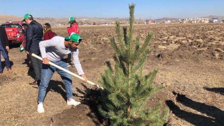 Kars’ta 29 bin fidan toprakla buluştu G4