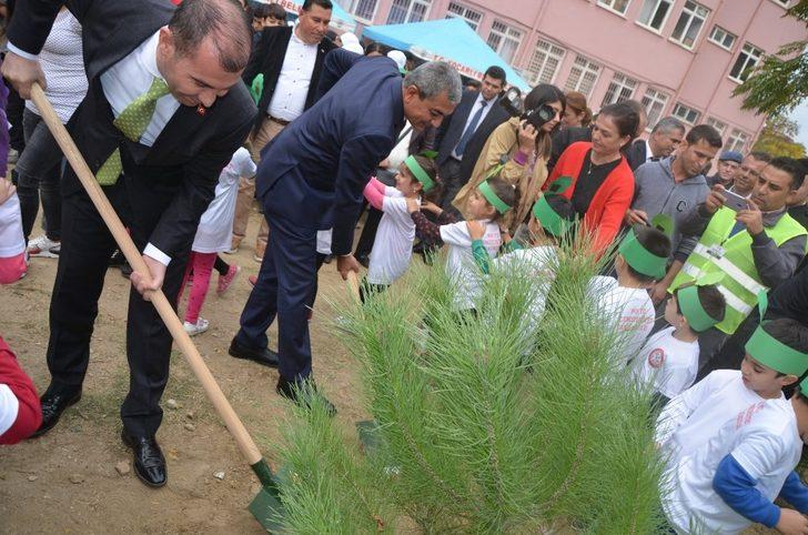 Koçarlı’da Milli Ağaçlandırma Günü etkinliği G3