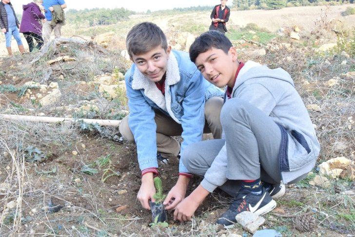 Lapseki’den fidan dikimi kampanyasına destek G1