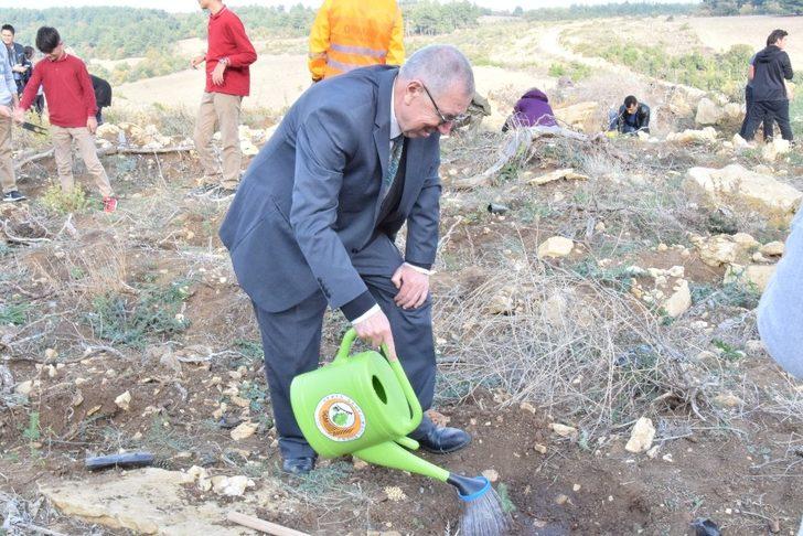 Lapseki’den fidan dikimi kampanyasına destek G3
