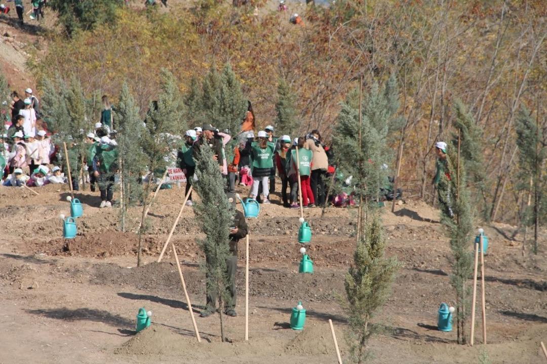 Amasya geleceğe 50 bin fidan ile nefes oldu