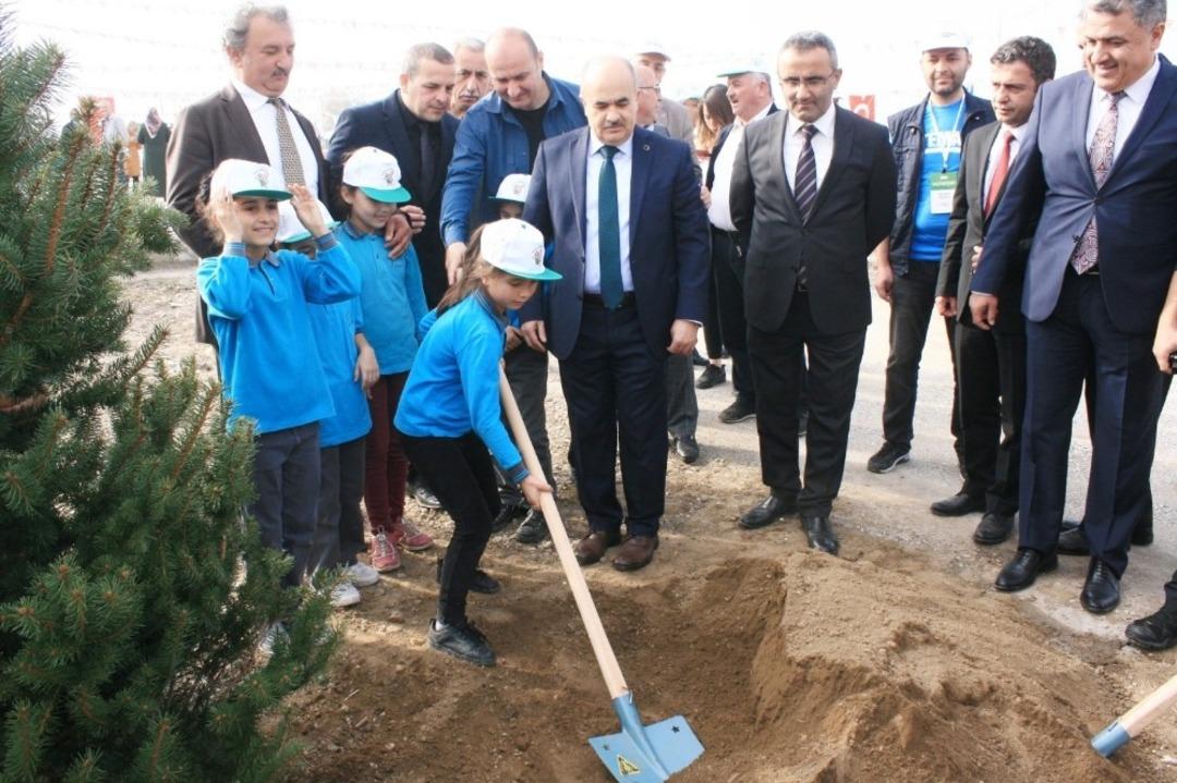 D&uuml;zce&rsquo;de 61 noktada 40 bin fidan dikildi