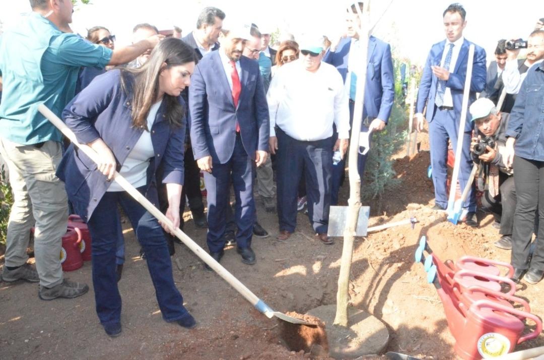 Adana&rsquo;da 205 bin fidan toprakla buluştu