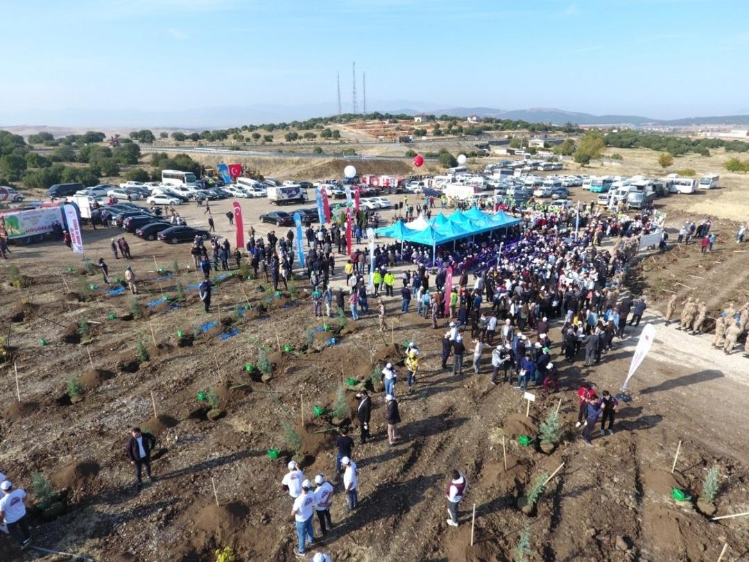 Kahramanmaraş&rsquo;ta 221 bin fidan toprakla buluştu