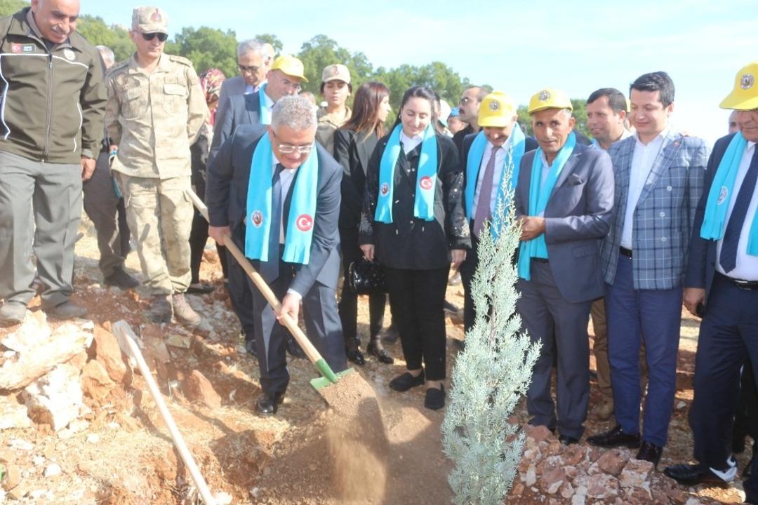 Adıyaman&rsquo;da, 175 bin fidan toprakla buluştu