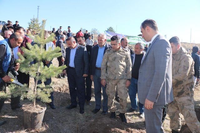 Fidanlar toprakla buluştu