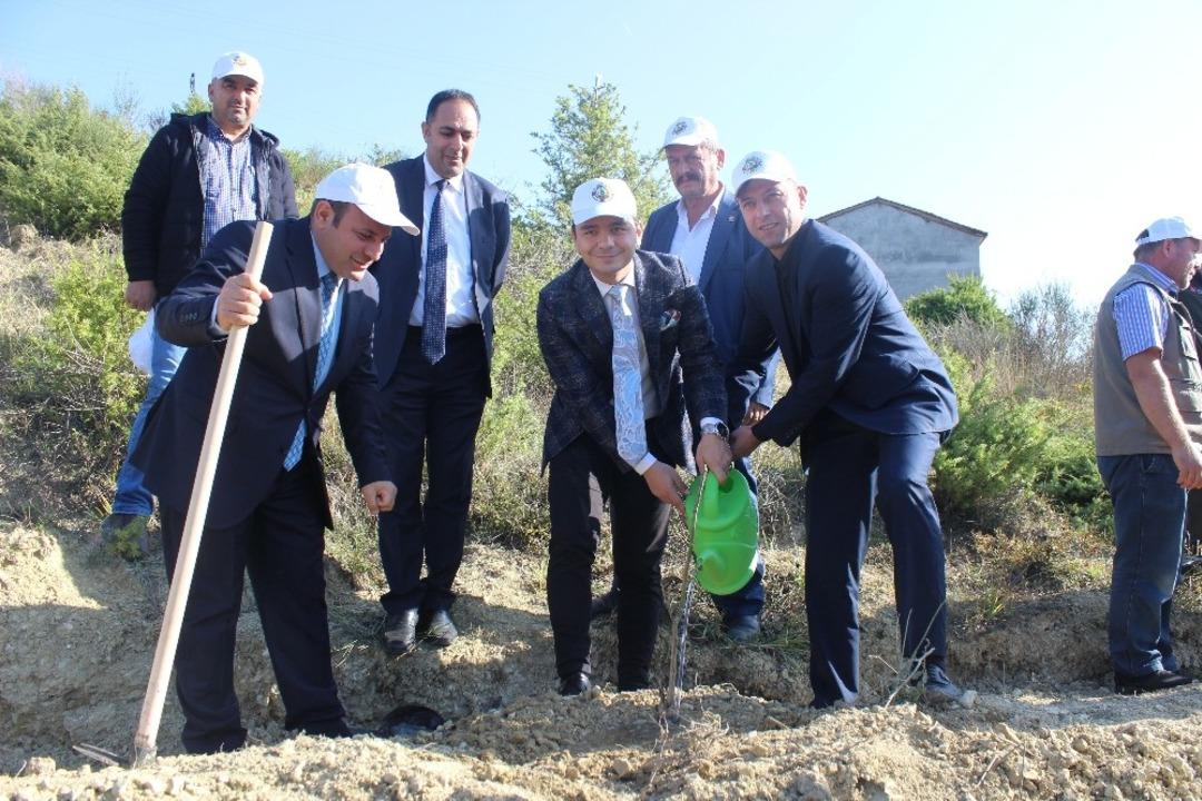 T&uuml;rkeli&rsquo;de 5 bin fidan toprakla buluştu