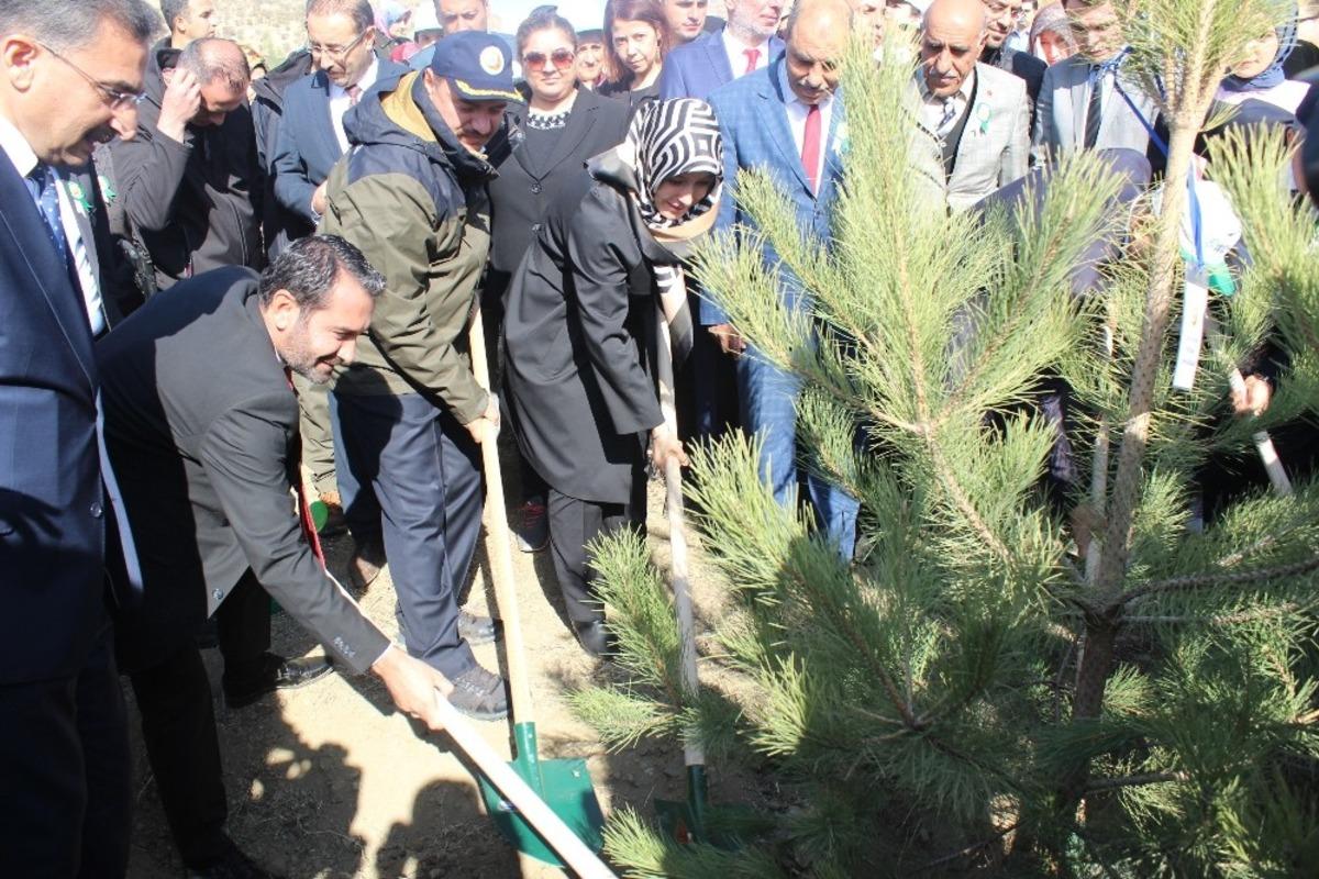 Elazığ&rsquo;da 250 bin fidan toprakla buluştu