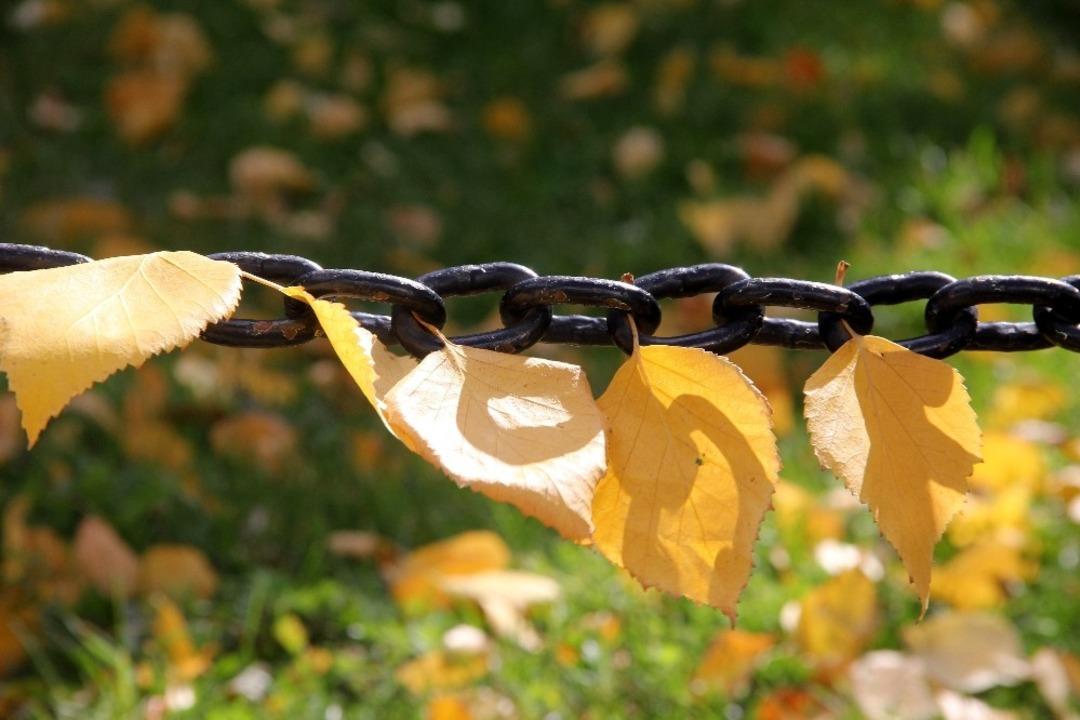 Bayburt&rsquo;ta kartpostallık sonbahar!