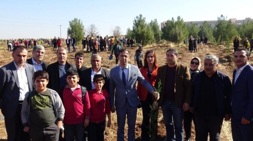 MHP Diyarbakır İl Başkanı Kayaalp fidan dikti