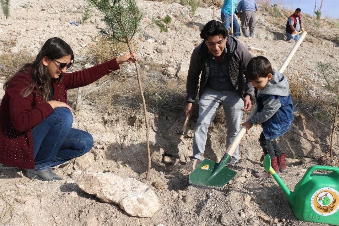 Kırka&rsquo;da 25 bin fidan toprakla buluştu