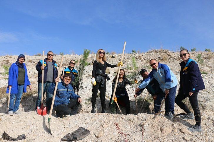 Kırka’da 25 bin fidan toprakla buluştu G2