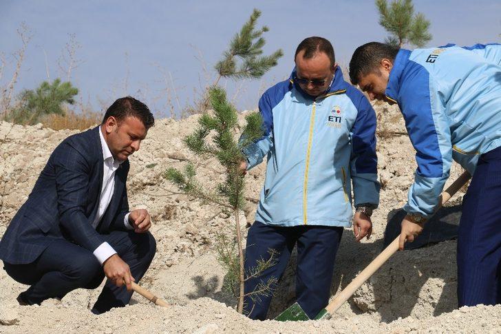 Kırka’da 25 bin fidan toprakla buluştu G4