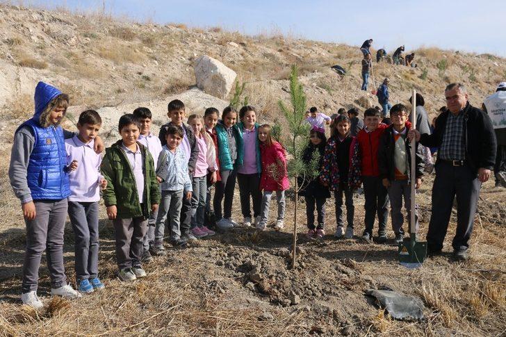 Kırka’da 25 bin fidan toprakla buluştu G5