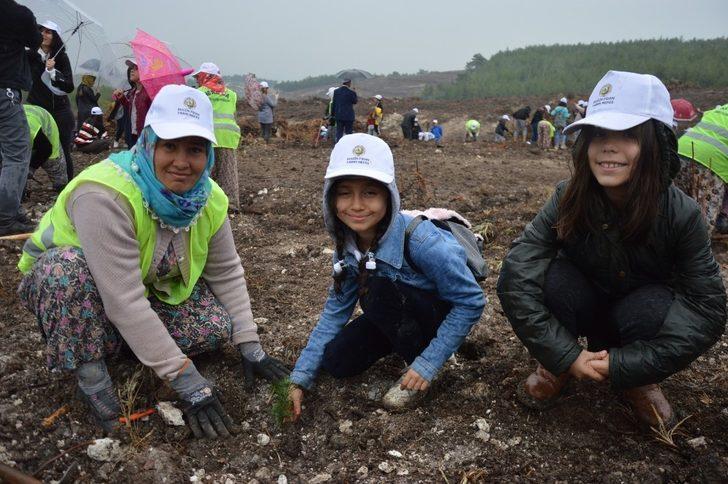 Manisa ilçelerinde fidan seferberliği G1