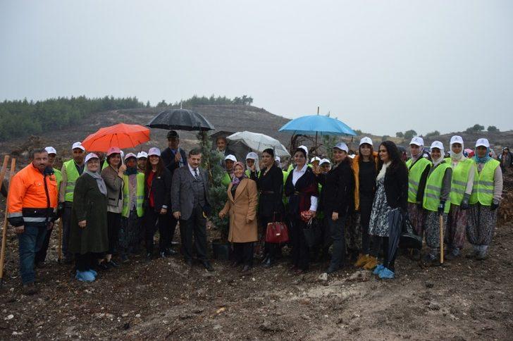 Manisa ilçelerinde fidan seferberliği G4