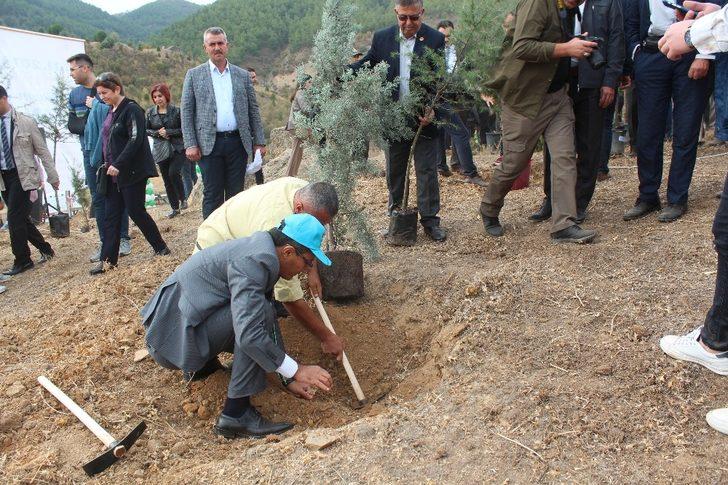 Manisa ilçelerinde fidan seferberliği G5