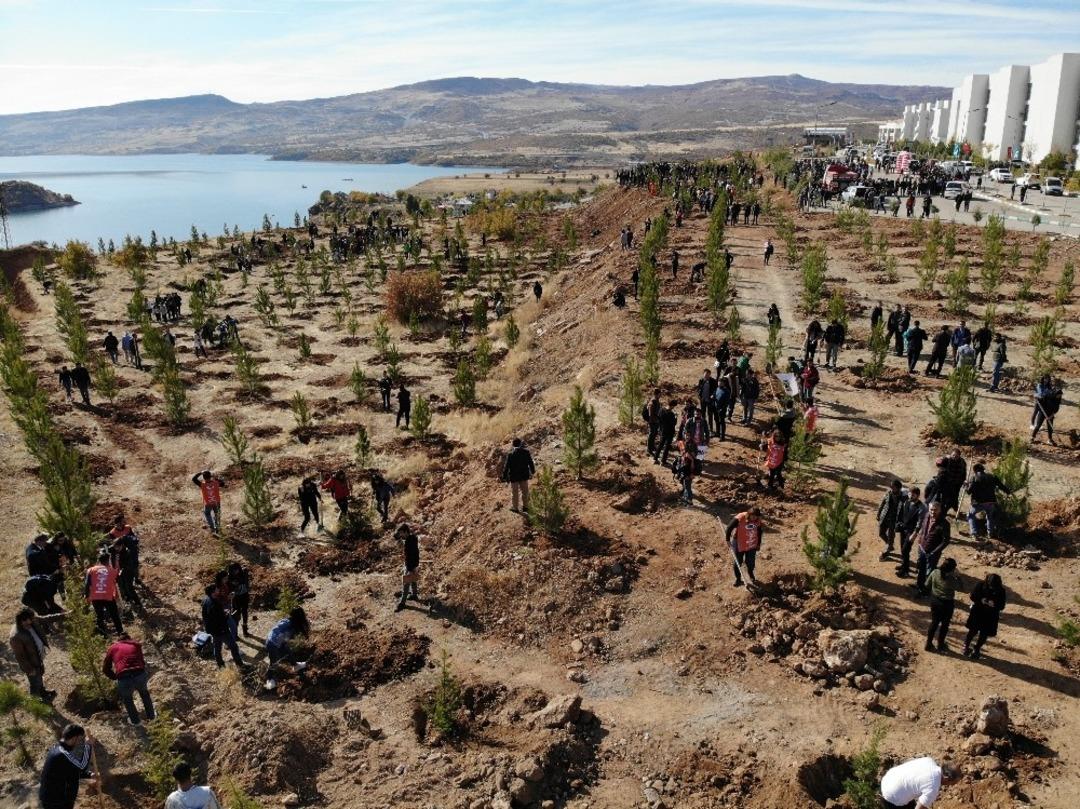 Tunceli&rsquo;de 230 bin fidan toprakla buluştu