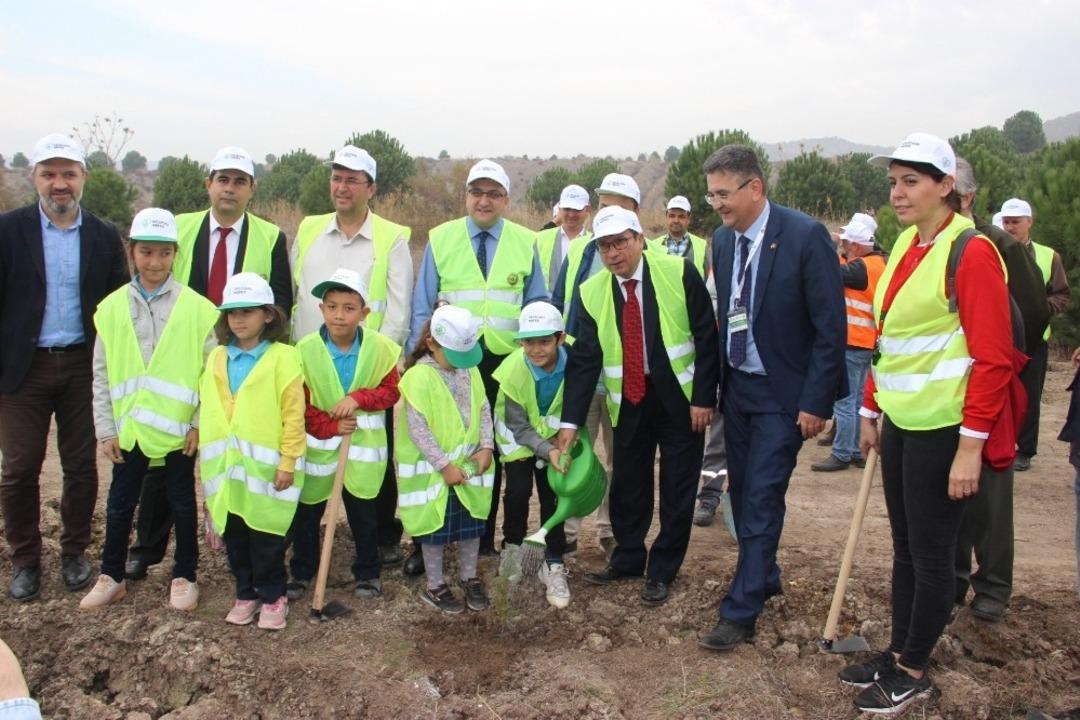 &Ccedil;an&rsquo;da  25 bin  fidan  toprakla buluştu