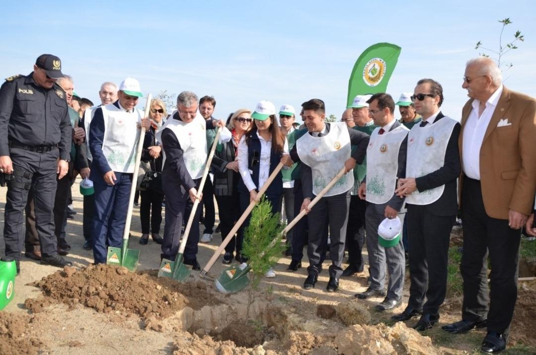 Fatsa&rsquo;da ağa&ccedil;landırma seferberliği