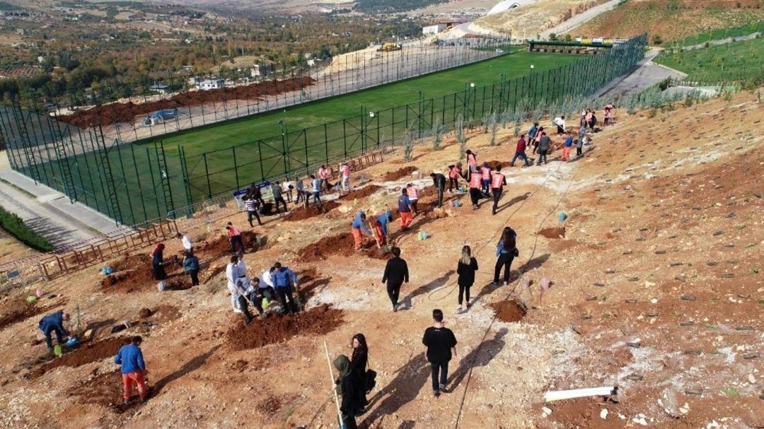 HK&Uuml;&rsquo;de fidanlar toprakla buluştu