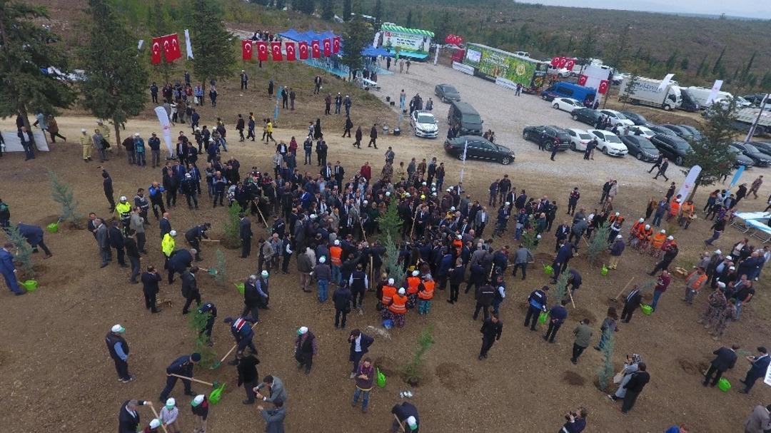 Balıkesir&rsquo;de fidanlar toprak ile buluştu