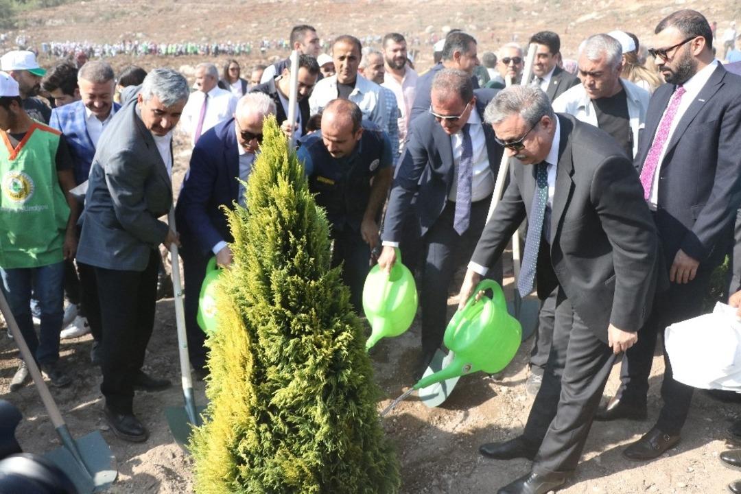 Mersin&rsquo;de 251 bin fidan toprakla buluştu