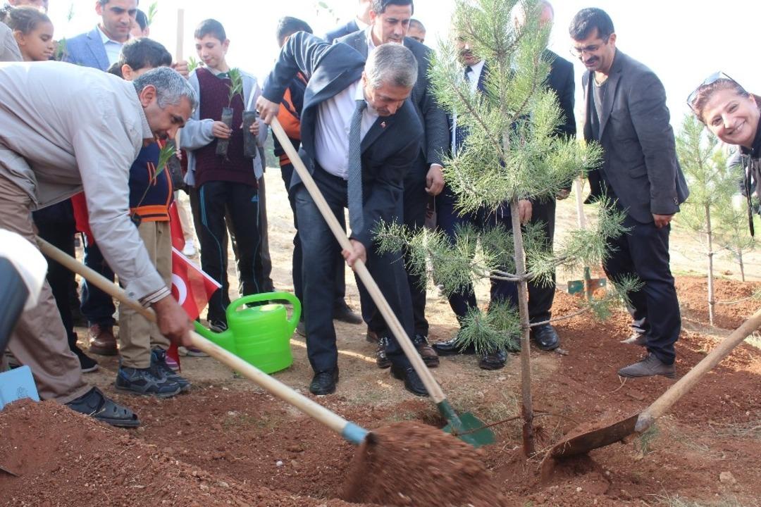 Şahinbey&rsquo;de 11 bin fidan toprakla buluşturuldu