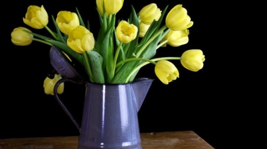 Baharda Eviniz &Ccedil;i&ccedil;eklensin