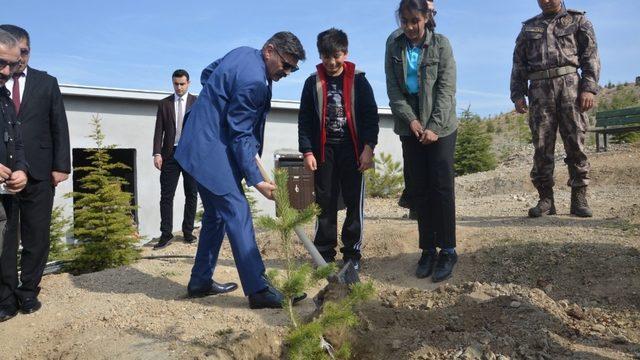 Emniyet müdürlüğünden fidan dikimi