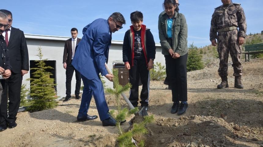 Emniyet m&uuml;d&uuml;rl&uuml;ğ&uuml;nden fidan dikimi