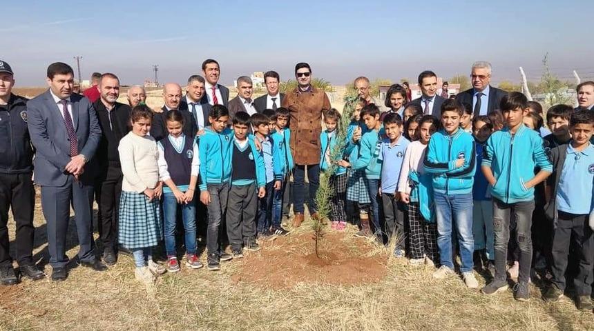 &Ccedil;ınar&rsquo;da fidan dikim etkinliği